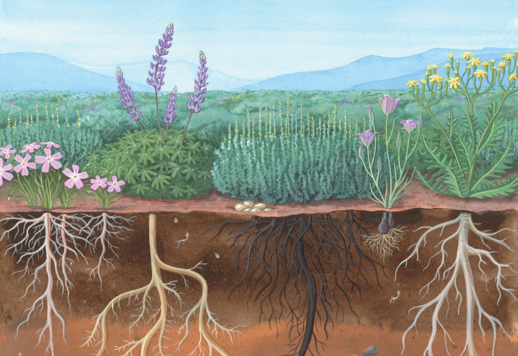 science on tap | seed banks | indigenous