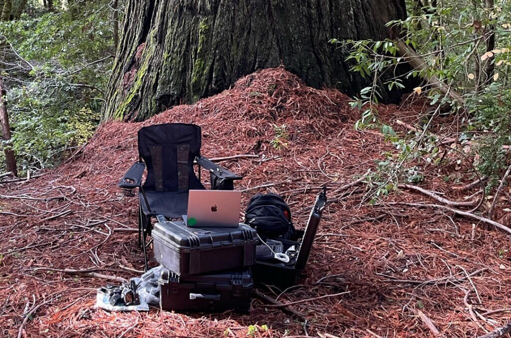 artificial intelligence | science on tap