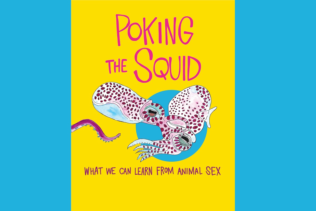 Poking the Squid: What We Can Learn from Animal Sex